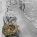 Ammonite & Orthoceras - Heart Shaped Washtub Sink - Fossil Statement
