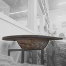 Ammonite & Orthoceras - Heart Shaped Washtub Sink - Fossil Statement