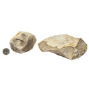 Owl Creek Chert - Rough - Texas, USA