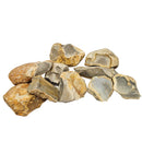 Owl Creek Chert - Rough - Texas, USA