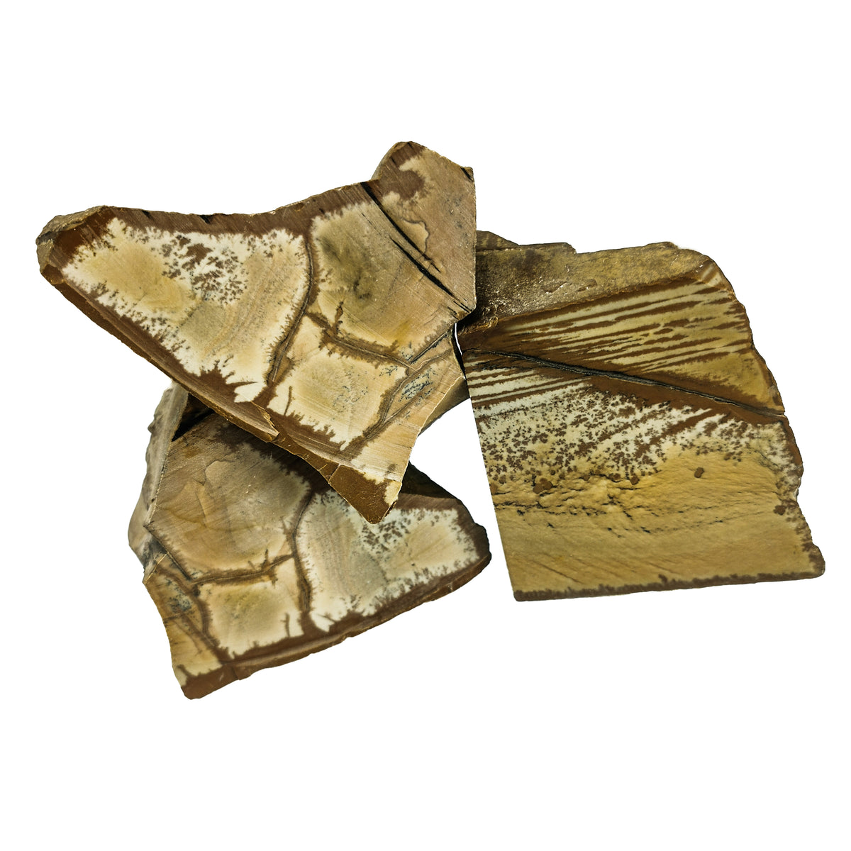 Owyhee Jasper rough from Owyhee Canyon, Oregon, USA.