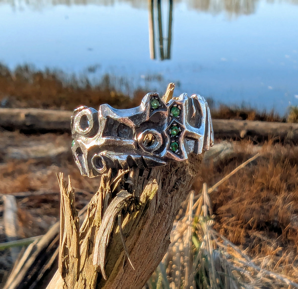 Eridanus free flow ring.