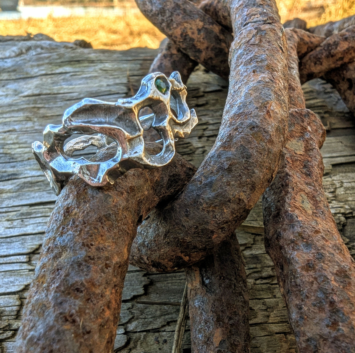 Caturix organic ring in sterling silver with Tsavorite Green Garnet.