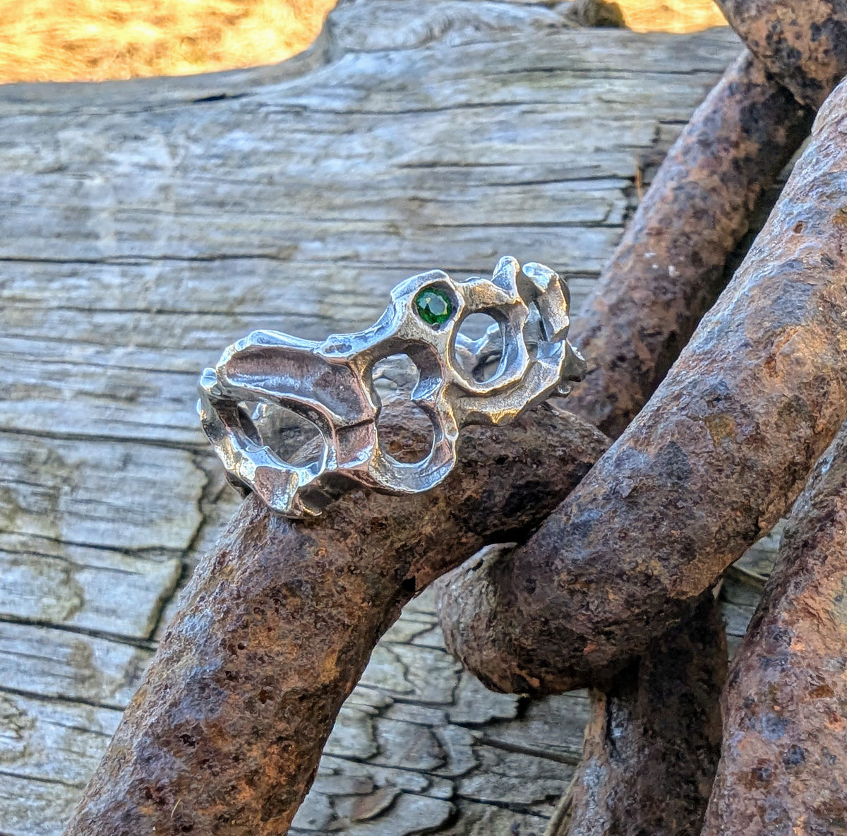 Caturix organic ring in sterling silver with Tsavorite Green Garnet.