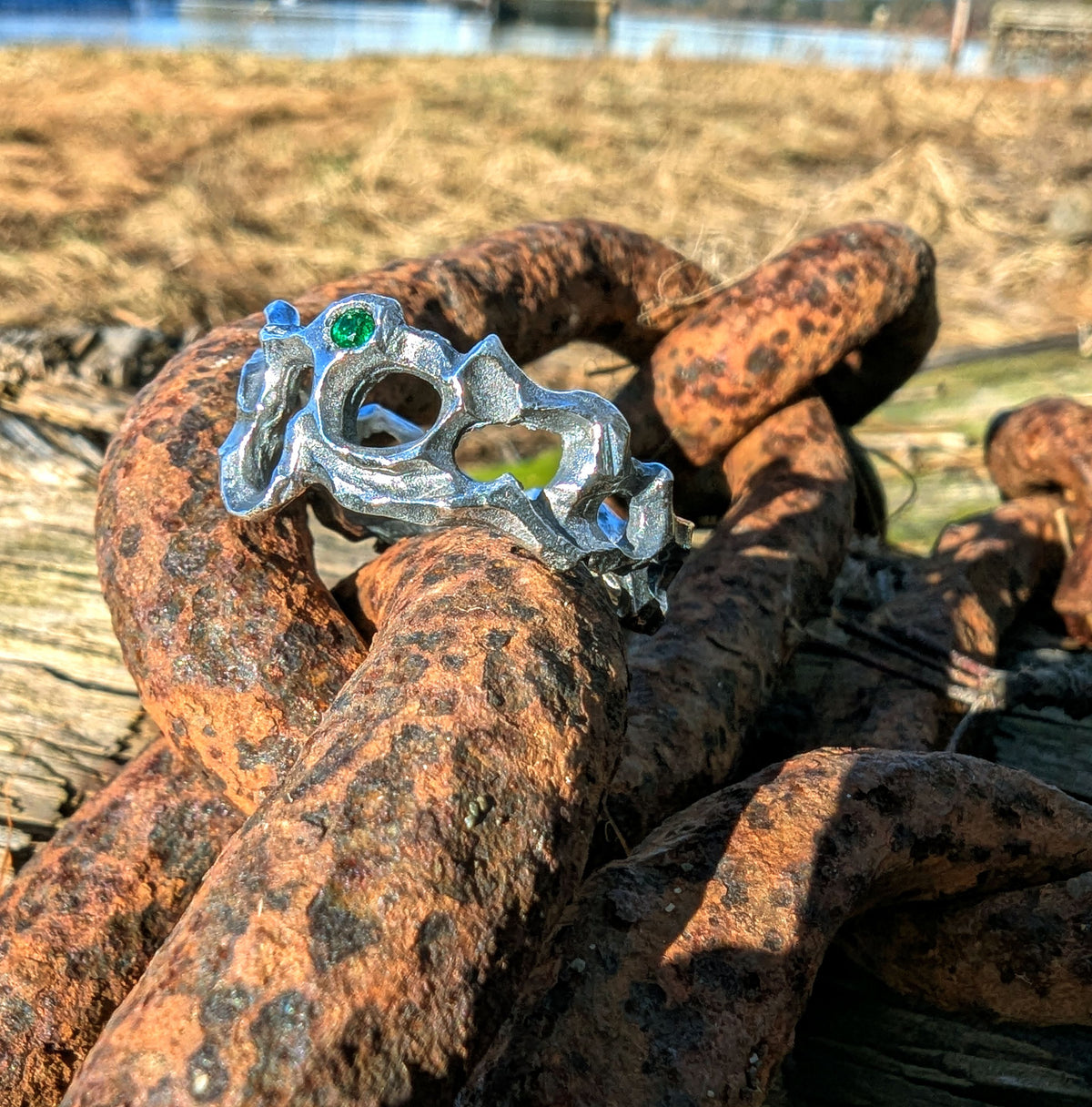 Caturix organic ring in sterling silver with Tsavorite Green Garnet.