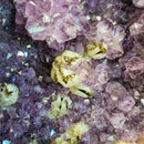 Amethyst - Butterfly Geode on Stand - Statement Specimen