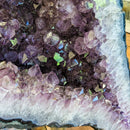 Amethyst - Butterfly Geode on Stand - Statement Specimen