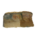 Palomino Jasper - Rough