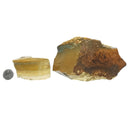 Palomino Jasper - Rough