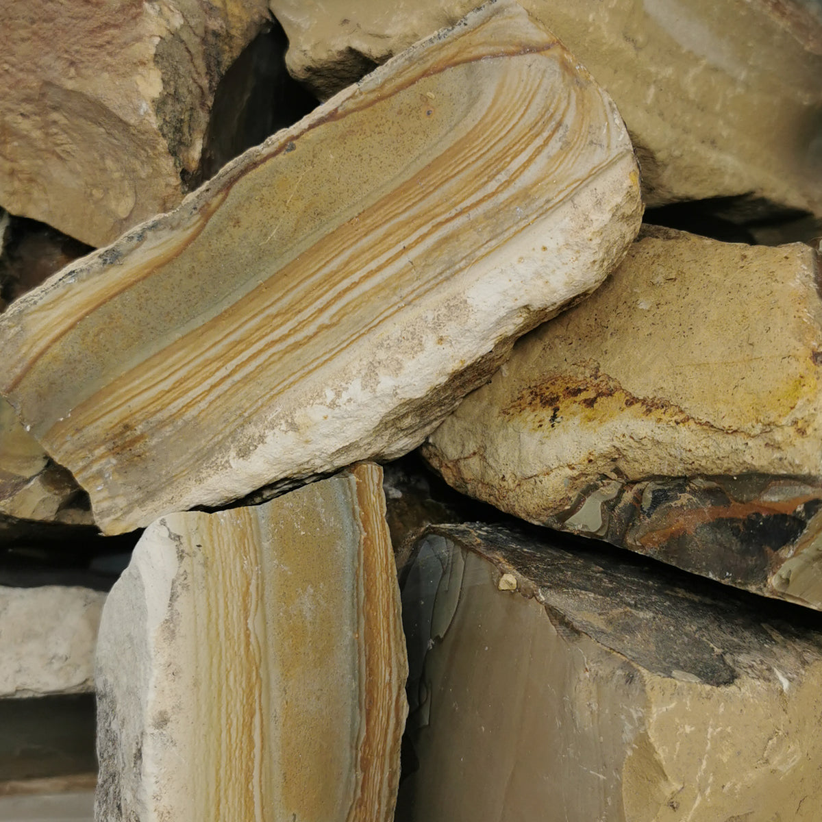 Palomino Jasper rough.