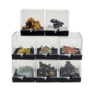 Perky Box - Display - China