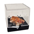 Perky Box - Display - China
