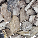 Permineralized Wood - Fossil - Cenozoic Era - Nevada, USA