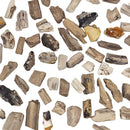 Permineralized Wood - Fossil - Cenozoic Era - Nevada, USA