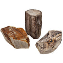 Permineralized Wood - Fossil - Cenozoic Era - Nevada, USA