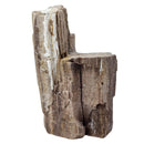 Permineralized Wood - Fossil - Cenozoic Era - Nevada, USA