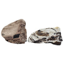 Permineralized Wood - Fossil - Cenozoic Era - Nevada, USA
