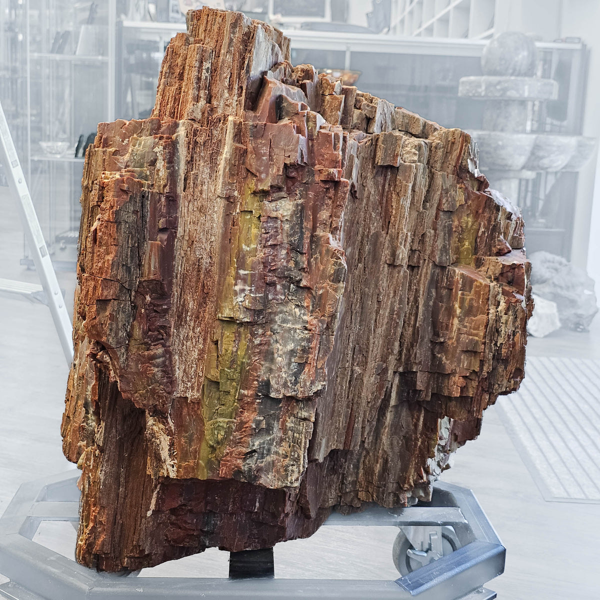 Petrified Wood fossil statement specimen from Petrified Forest, Arizona, USA, Chinle Formation, Late Triassic.