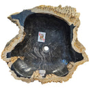Petrified Wood - Wash Sink - Statement Specimen