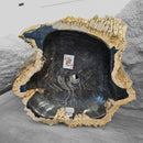 Petrified Wood - Wash Sink - Statement Specimen