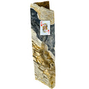 Petrified Wood - Wash Sink - Statement Specimen