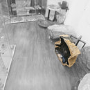 Petrified Wood - Wash Sink - Statement Specimen