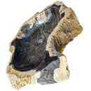 Petrified Wood - Wash Sink - Statement Specimen