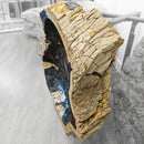 Petrified Wood - Wash Sink - Statement Specimen
