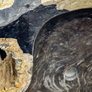 Petrified Wood - Wash Sink - Statement Specimen