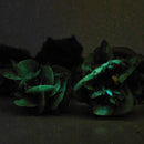 Phosphorescent Selenite - Mineral - Saskatchewan, Canada - UV reactive - Crown Chakra