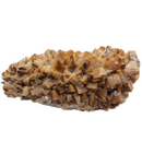 Honey Calcite - Statement Specimen - Mexico