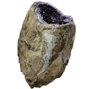 Amethyst - Large Rounded Geode - Statement Specimen - Brazil