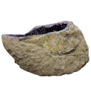 Amethyst - Large Rounded Geode - Statement Specimen - Brazil