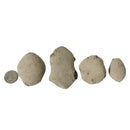 Crab Concretions - Unprepared Fossil