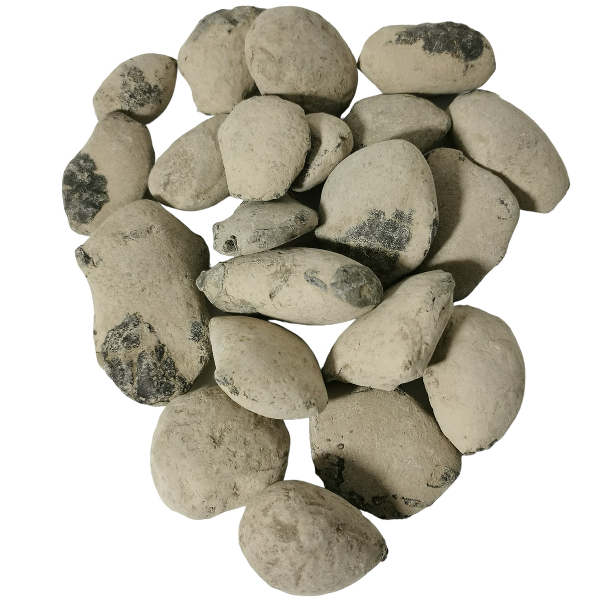 Crab Concretions unprepared fossil from Isle Of Sheppey, England, London Clay Formation, Early Eocene.