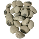 Crab Concretions - Unprepared Fossil