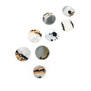 Picture Jasper - Flat Disk