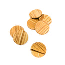 Picture Jasper - Flat Disk - Brown