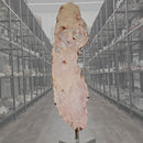 Pink Amethyst Uprgitht Slab on Stand - Statement Specimen - Brazil 