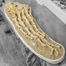 Plesiosaurus Fin - Fossil Statement Specimen