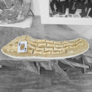 Plesiosaurus Fin - Fossil Statement Specimen