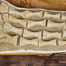 Plesiosaurus Fin - Fossil Statement Specimen