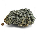 Prehnite - Specimen