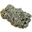 Prehnite - Specimen