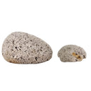 Pumice - Mineral - Washington, USA