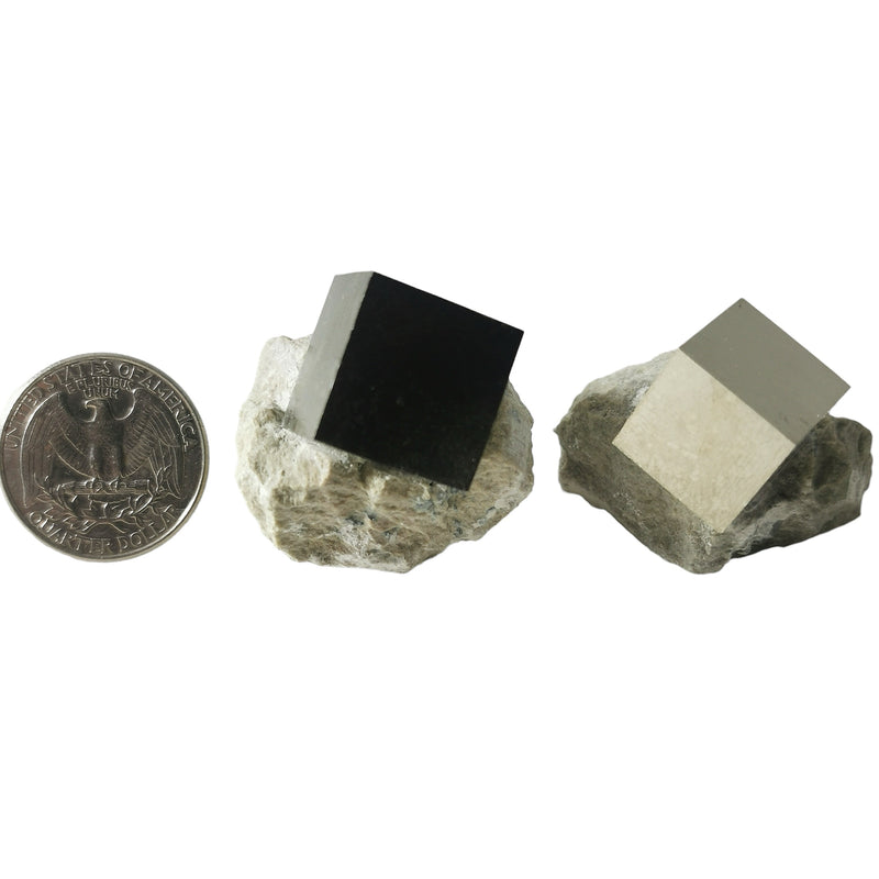 Cubic Pyrite on Matrix - Mineral