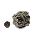 Pyrite Cluster - Specimen