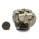Pyrite Cluster - Specimen