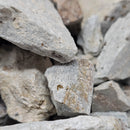 Pyrite Cubes - Gem Dirt (Dig Your Own Crystals) - BC, Canada