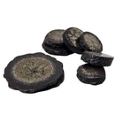 Pyrite & Limonite - Slice - Inner Mongolia, Northern China - Solar Plexus Chakra